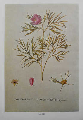 [Библиотека Дягилева-Лифаря. Каталог аукциона Sotheby] The Diaghilev-Lifar Library. London, [1975].